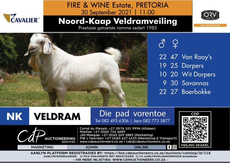 PRETORIA Veldramveiling 2021
